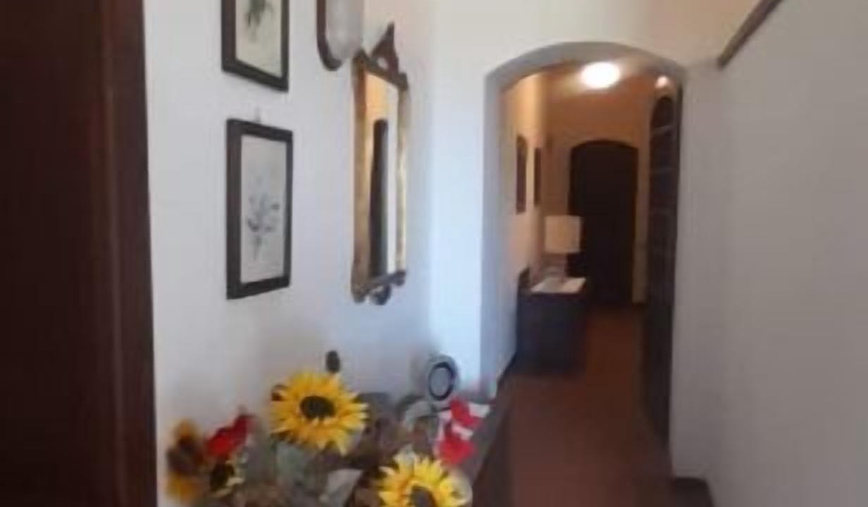 Photo of Others in Semproniano