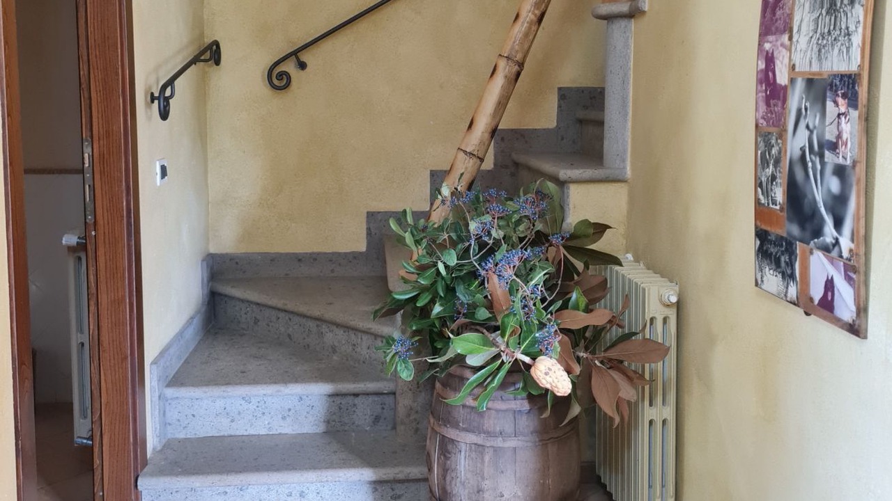 Photo of Others in Poggio
