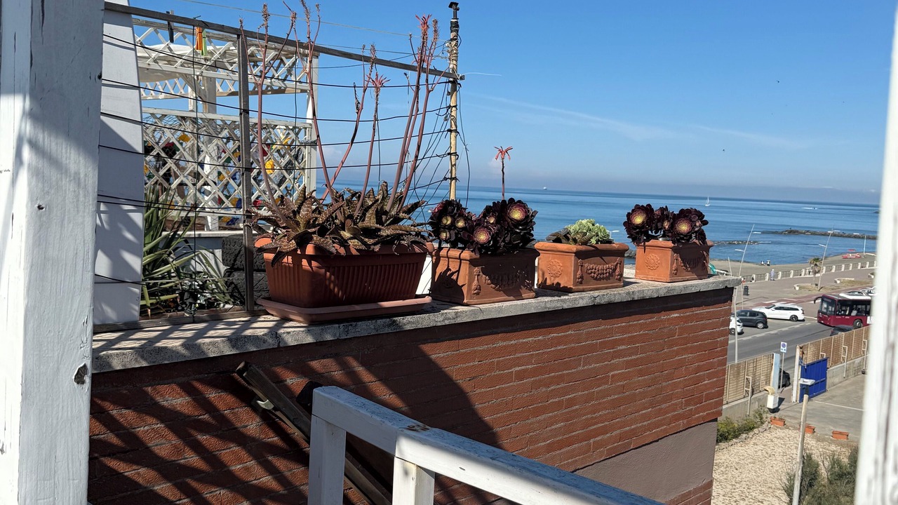 Photo of Outdoor in Quartiere XXXIII Lido di Ostia Ponente