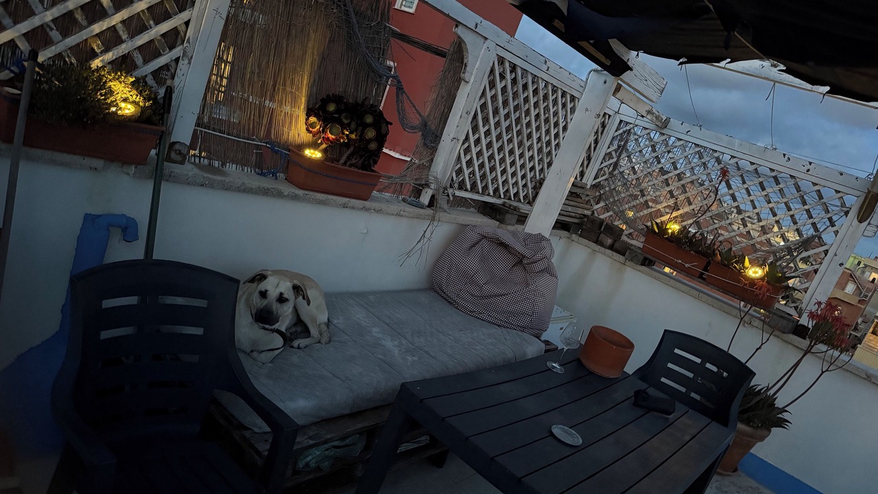 Photo of Outdoor in Quartiere XXXIII Lido di Ostia Ponente