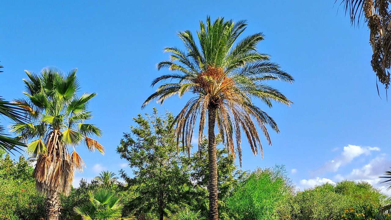 Photo of Outdoor in Castelvetrano