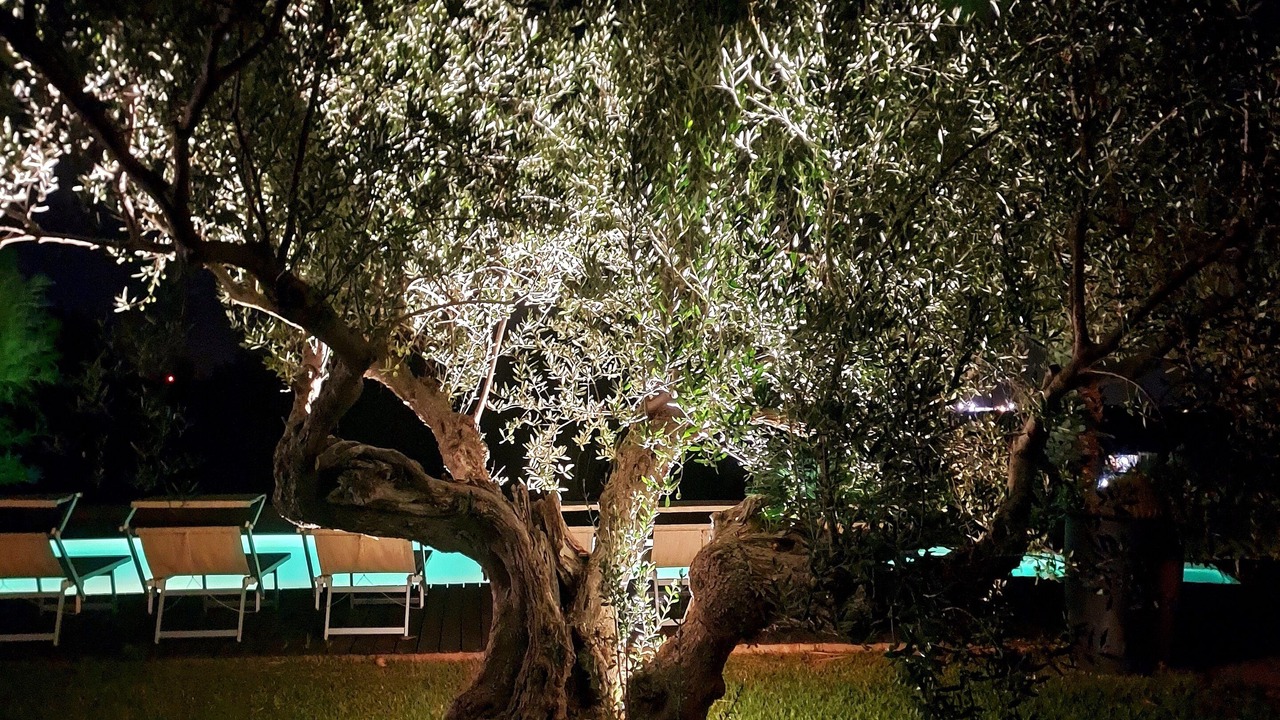Photo of Outdoor in Castelvetrano