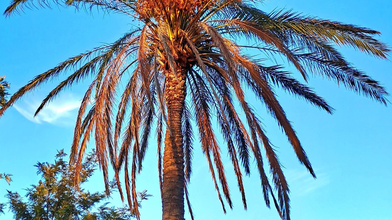 Photo of Outdoor in Castelvetrano