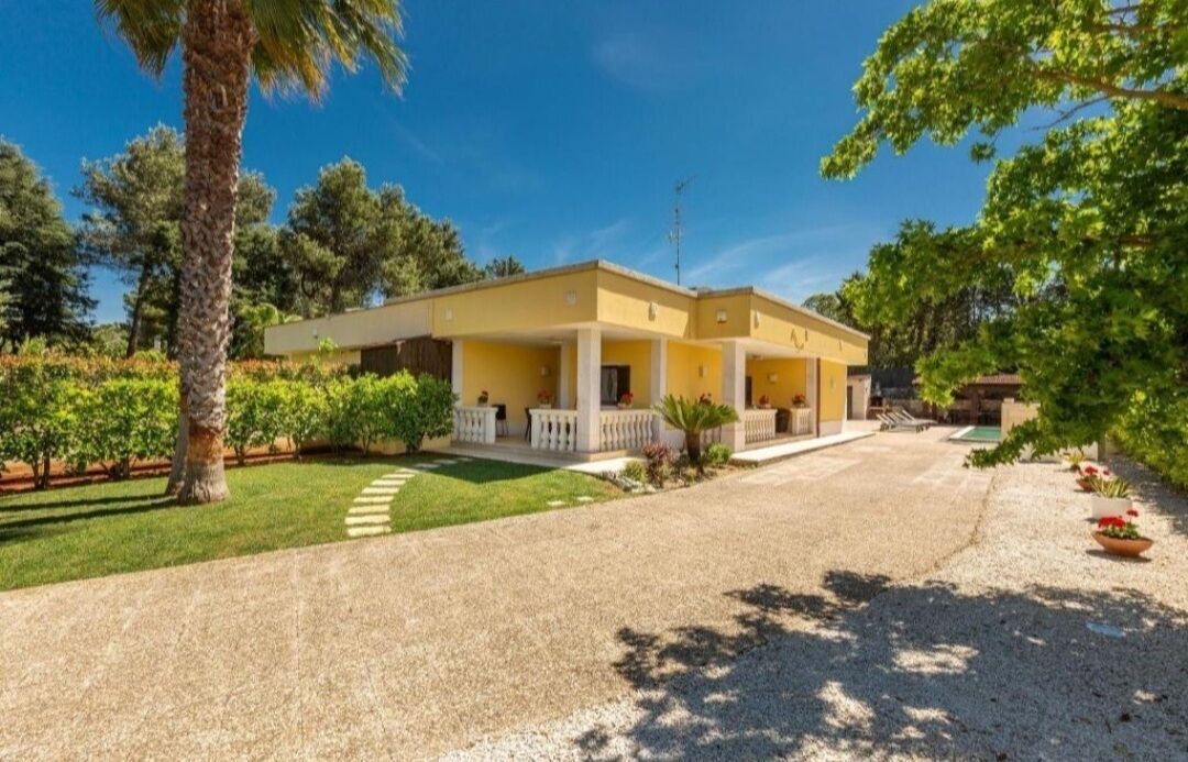 Photo of Outdoor in Selva di Fasano