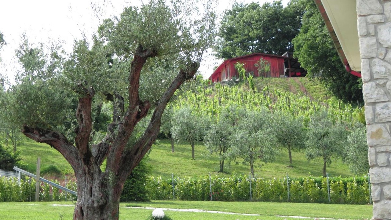 Photo of Outdoor in Montemiletto