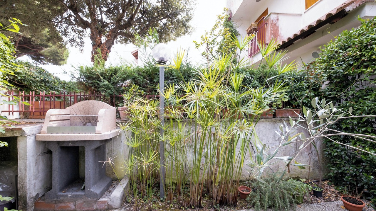 Photo of Outdoor in Sabaudia
