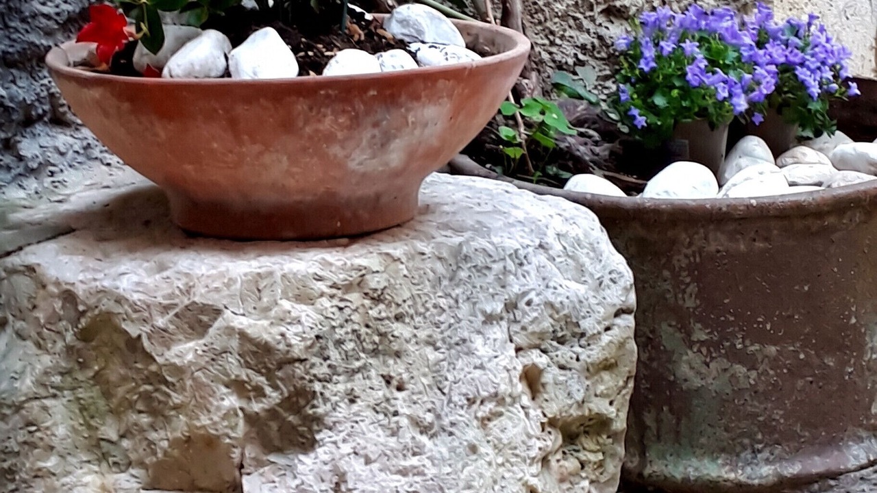 Photo of Outdoor in Arce