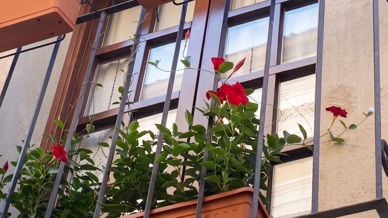 Photo of Patio Balcony in Arce