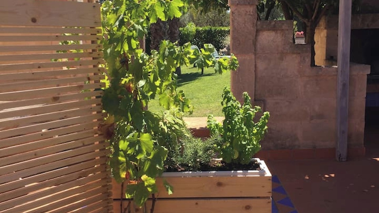 Photo of Outdoor in San Vito dei Normanni