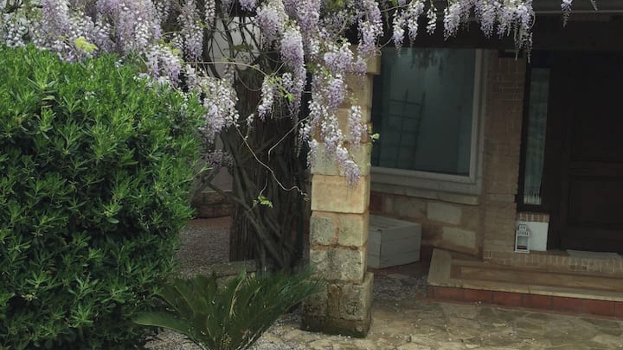 Photo of Outdoor in San Vito dei Normanni