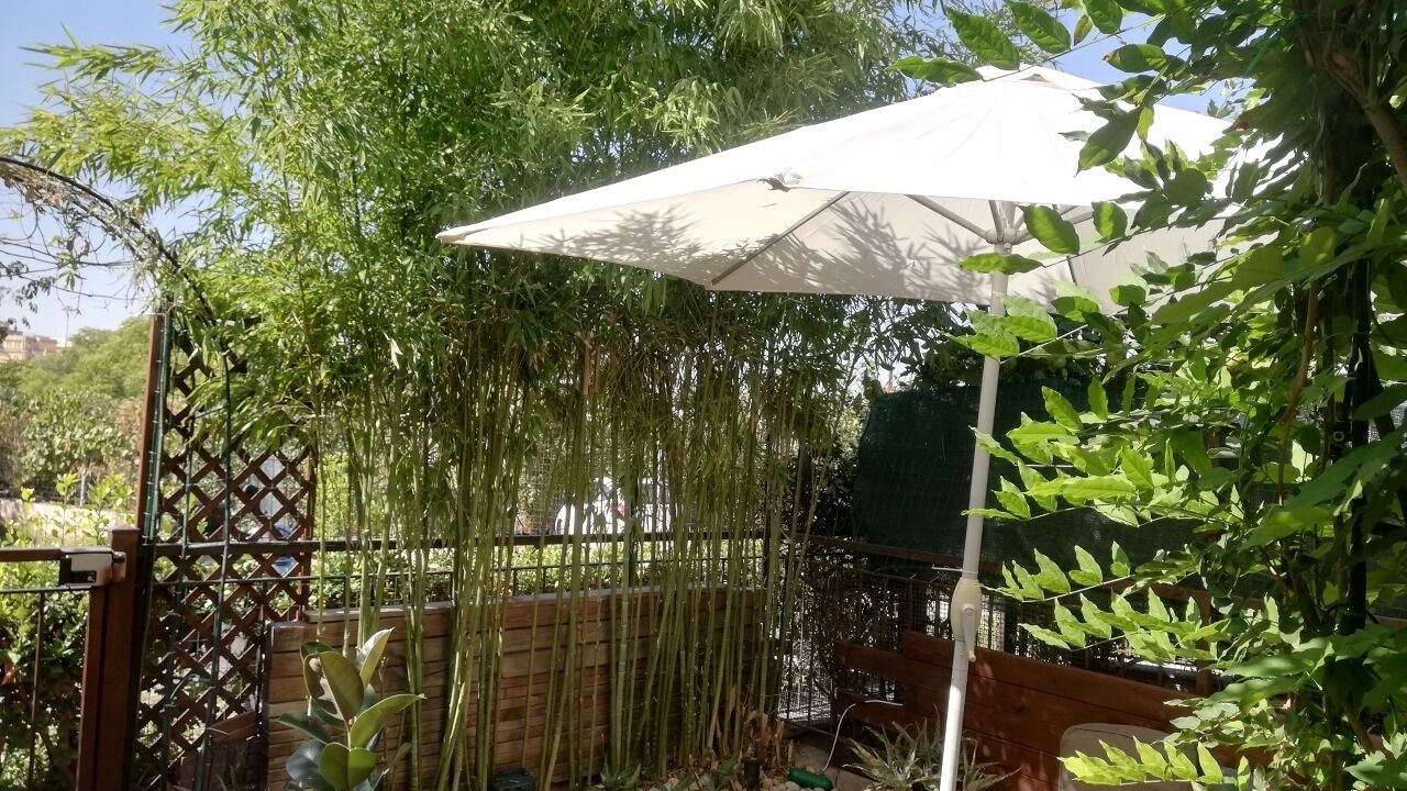 Photo of Outdoor in San Giovanni