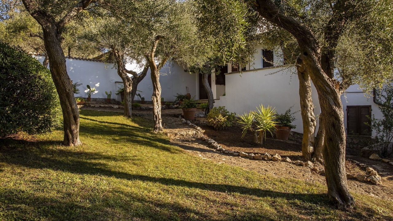 Photo of Outdoor in Ansedonia