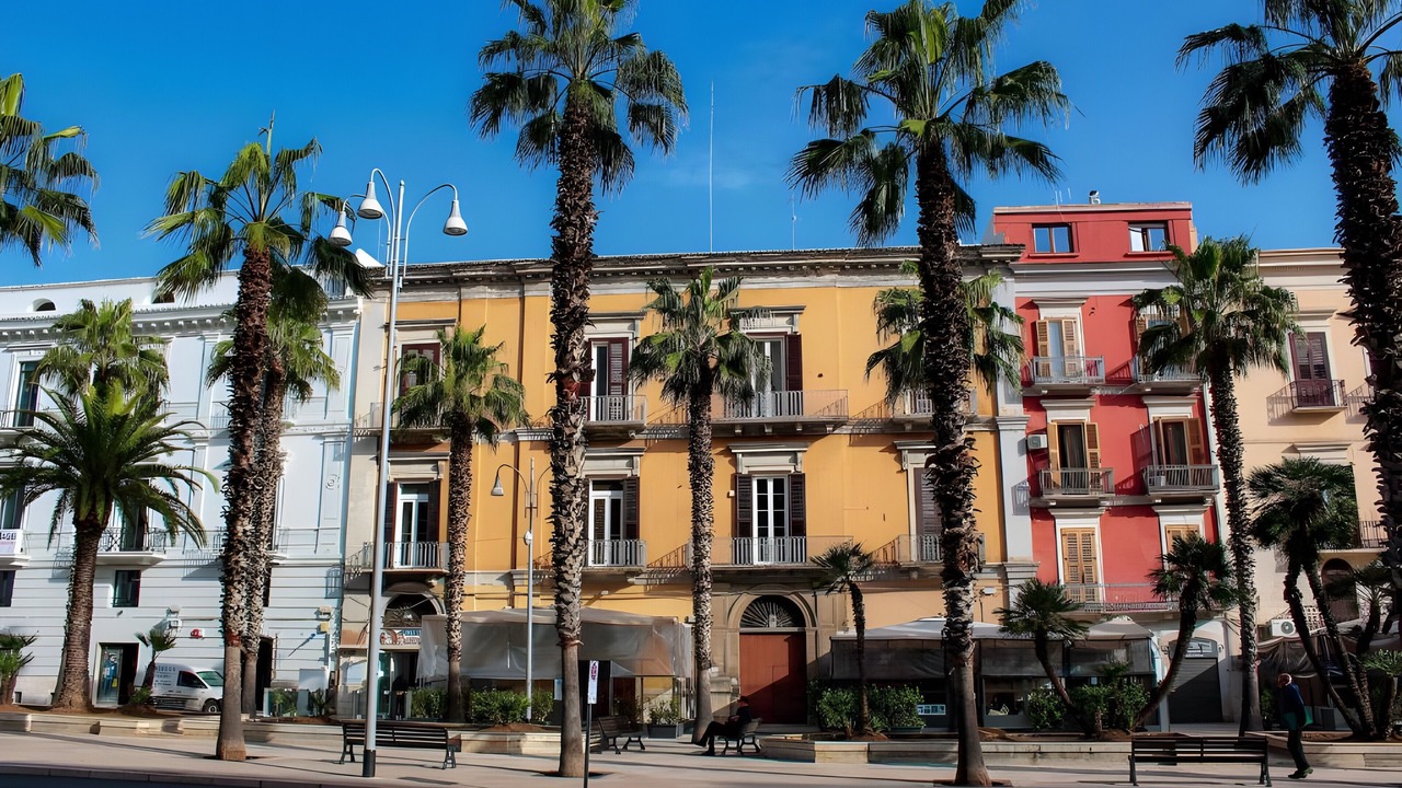 Photo of Outdoor in Municipio 4
