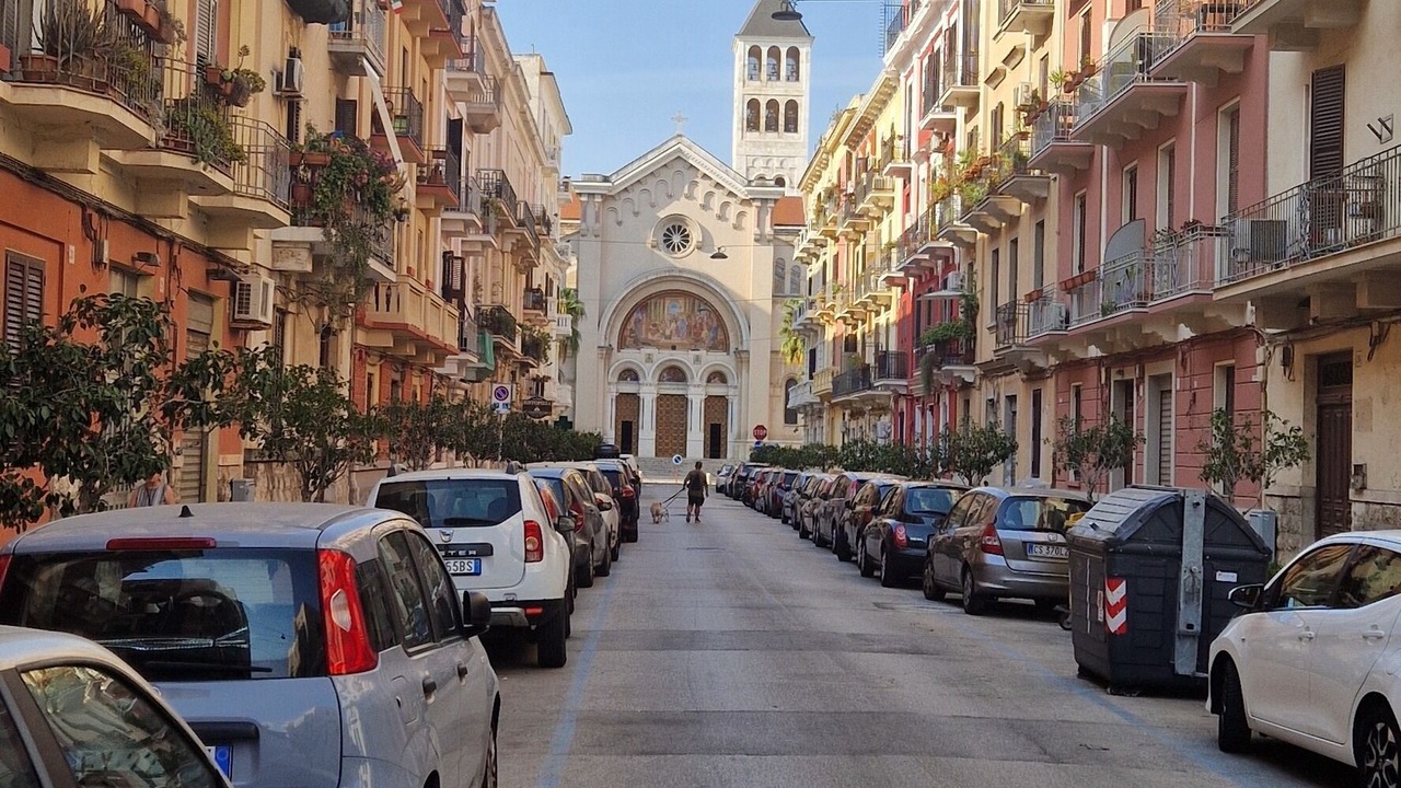Photo of Others in Municipio 2