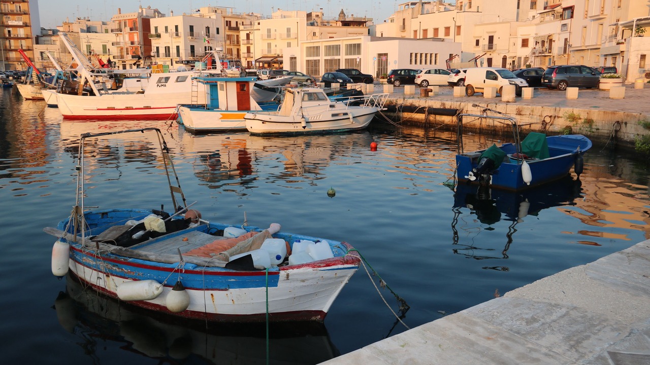 Photo of Others in Mola di Bari