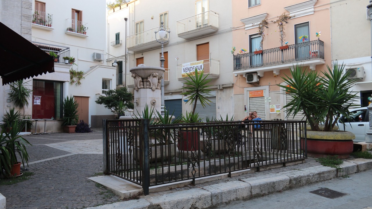 Photo of Outdoor in Mola di Bari