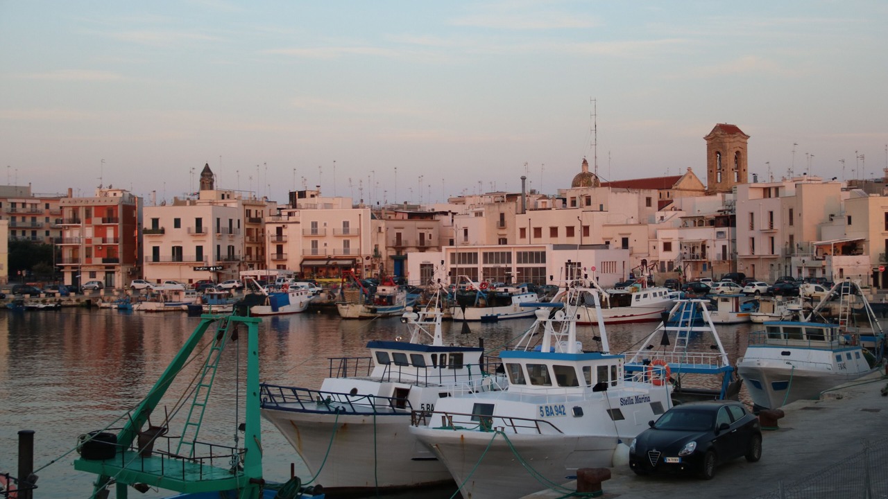 Photo of Others in Mola di Bari