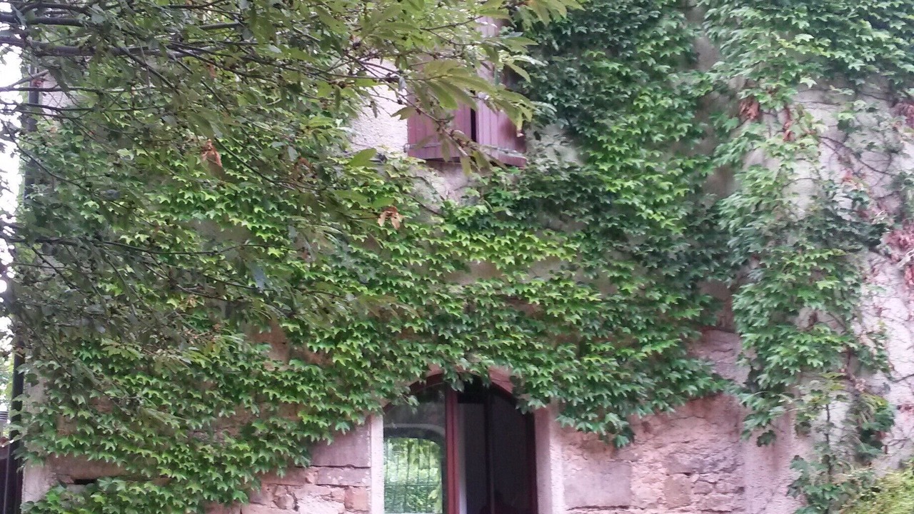 Photo of Outdoor in Gioi