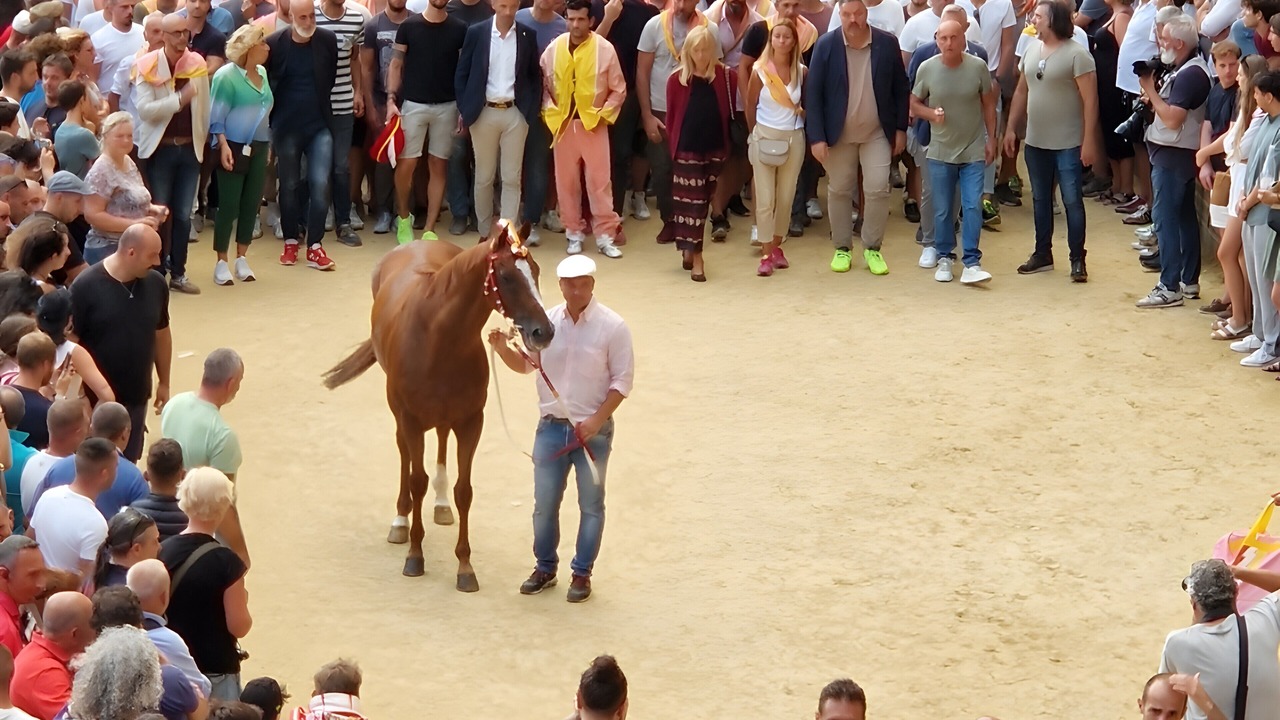 Photo of Others in Monteroni d'Arbia