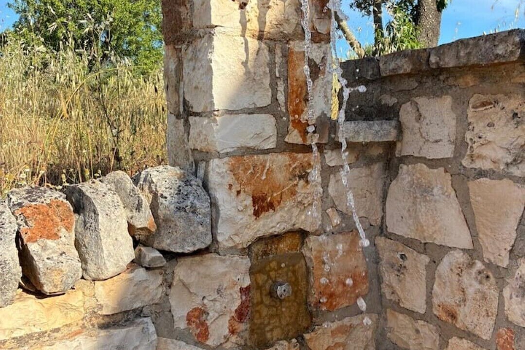 Photo of Others in Ostuni