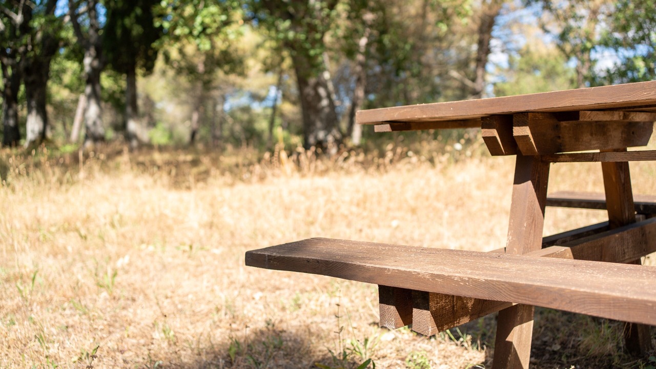 Photo of Outdoor in Torrita di Siena