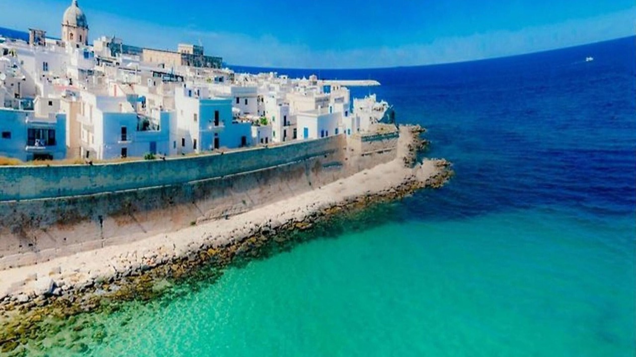 Photo of Others in Monopoli