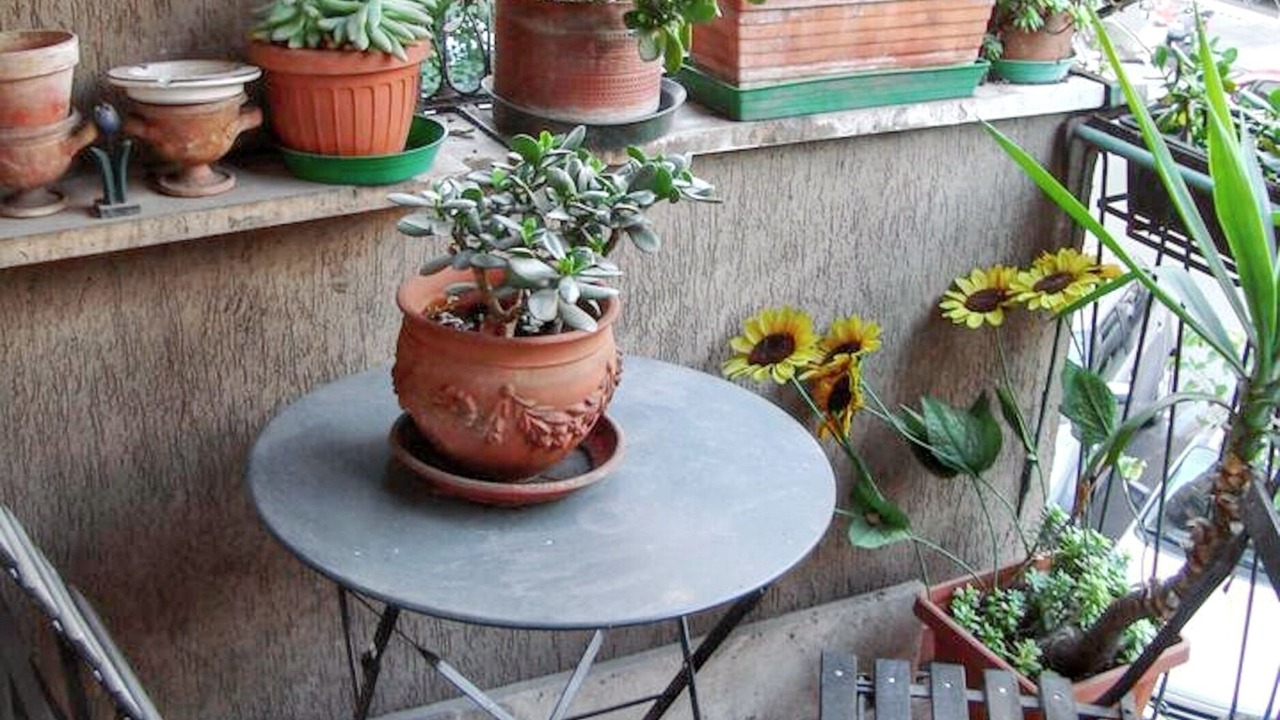 Photo of Patio Balcony in Quartiere XVII Trieste