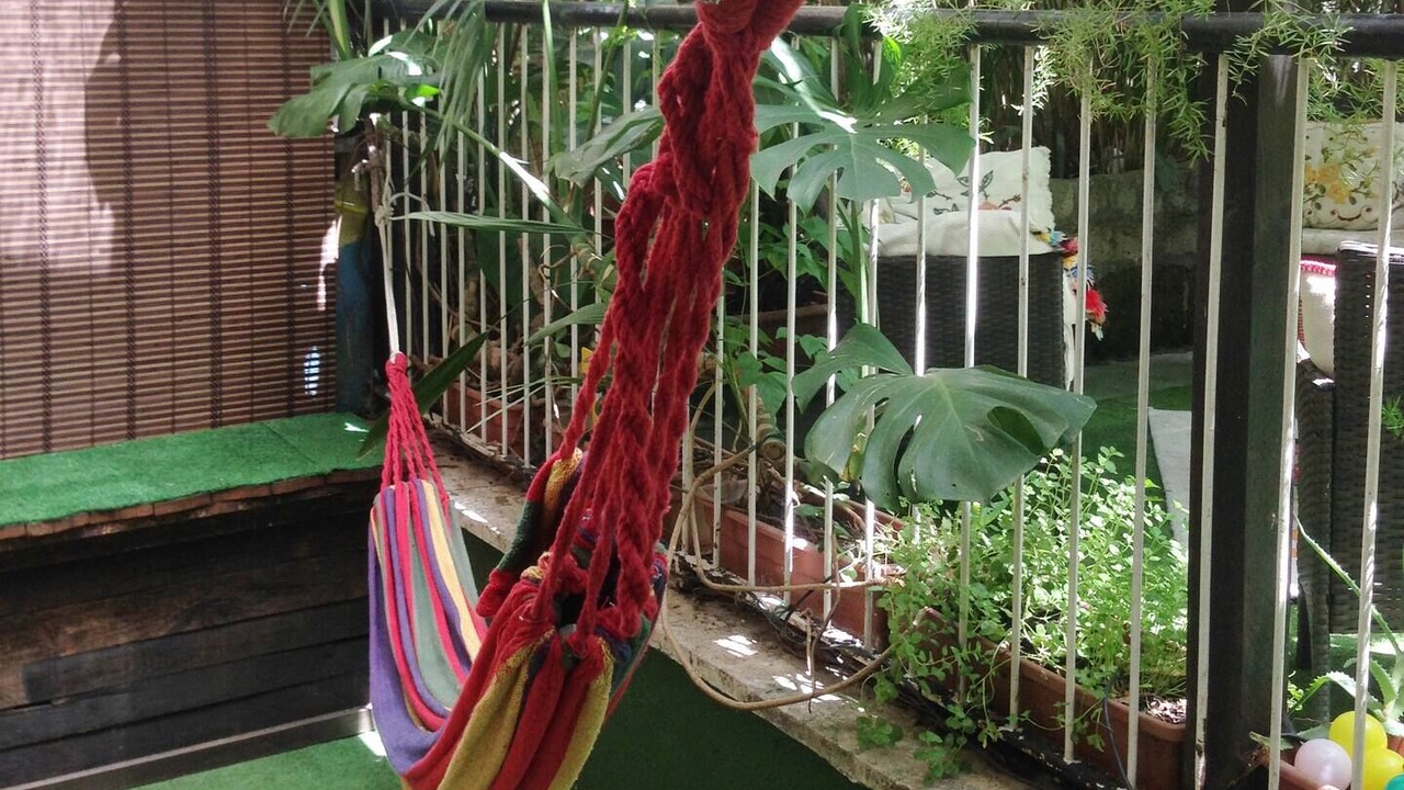 Photo of Outdoor in Prenestino-Labicano