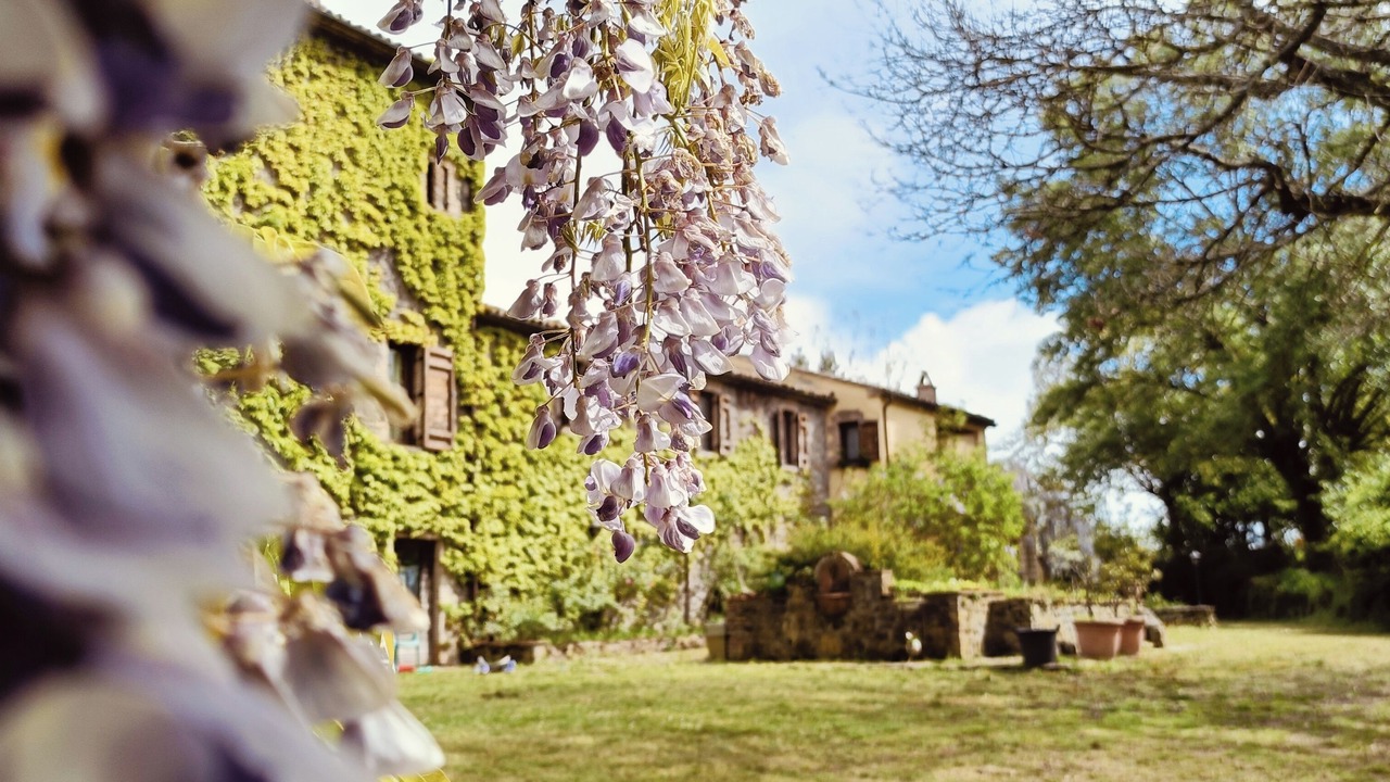 Photo of Outdoor in Orvieto