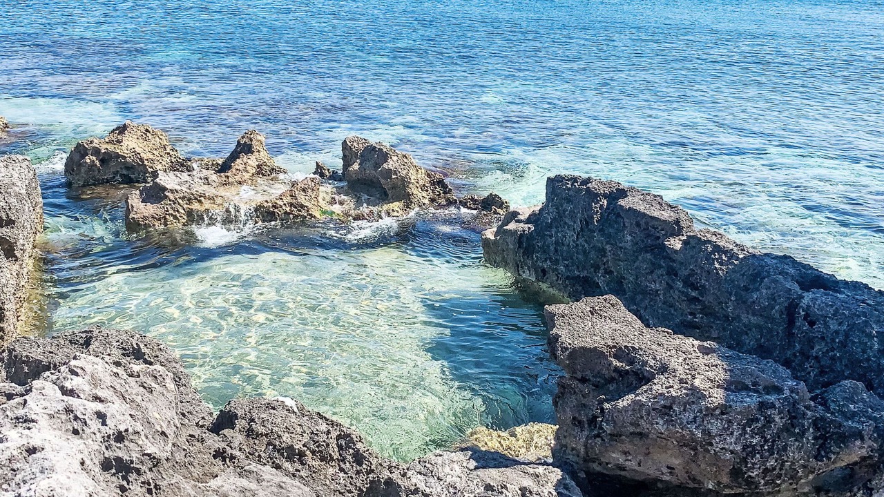 Photo of Others in Mola di Bari