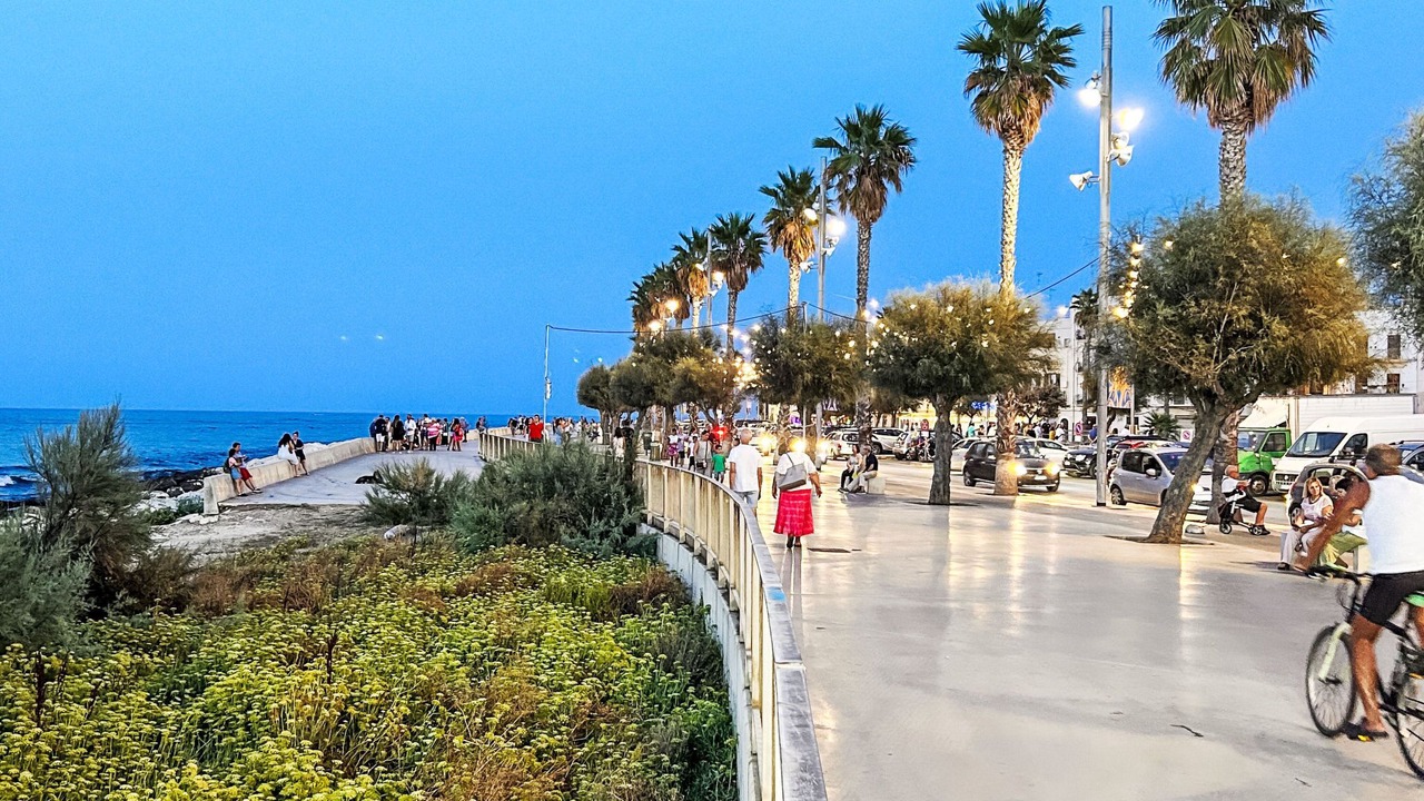 Photo of Others in Mola di Bari