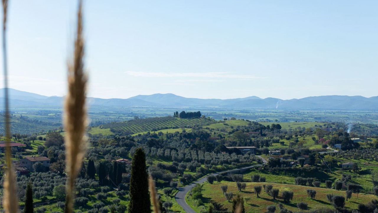 Photo of Others in Montiano