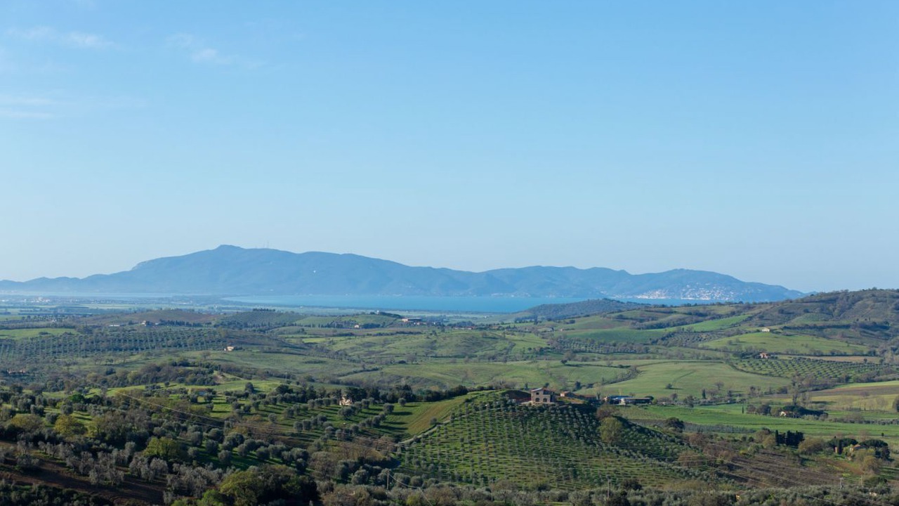 Photo of Others in Montiano