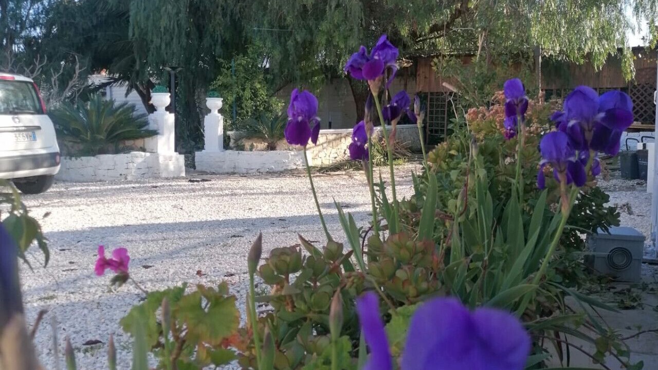 Photo of Outdoor in Trani