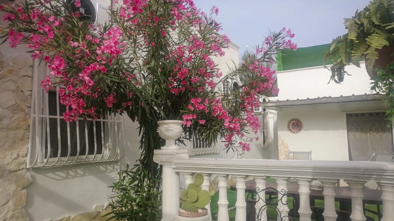 Photo of Patio Balcony in Trani