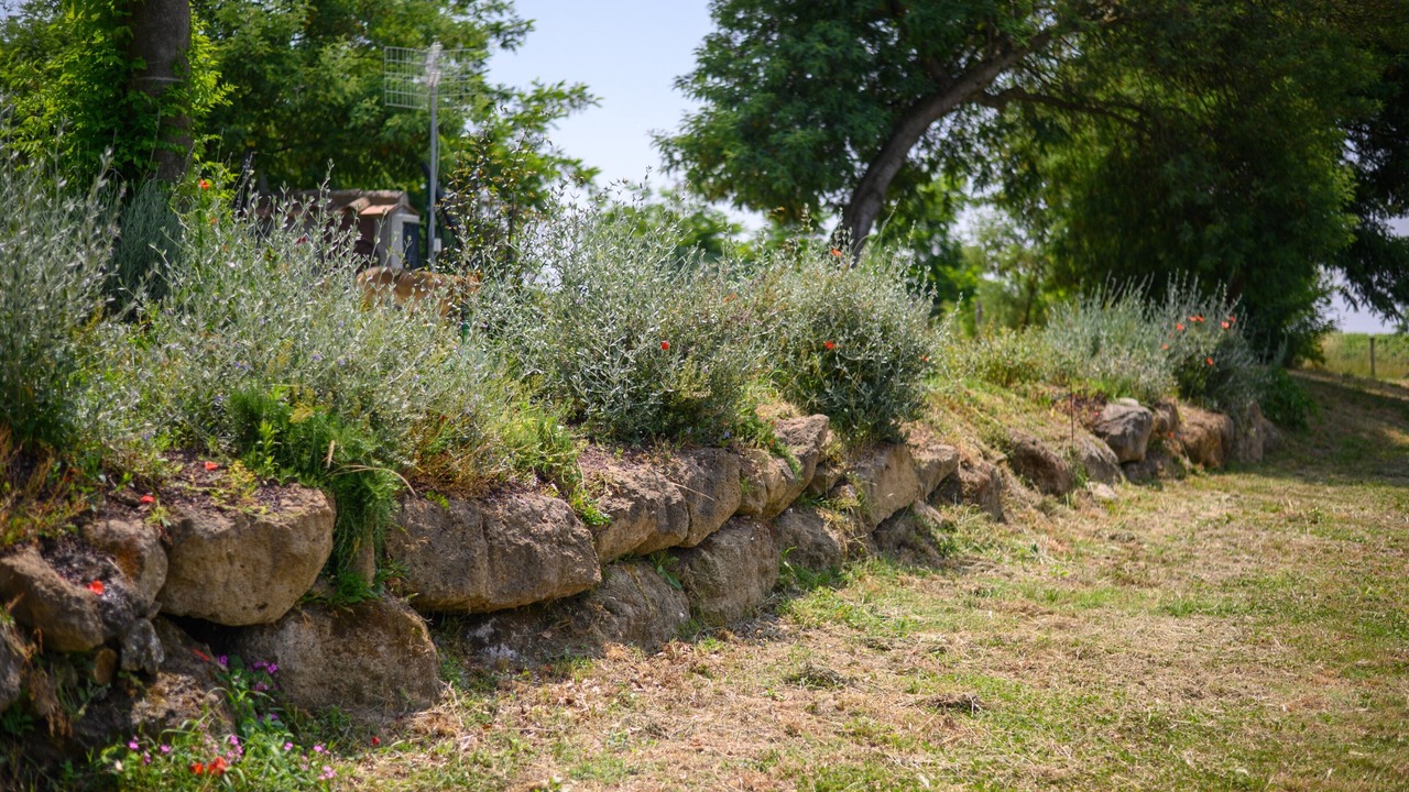 Photo of Outdoor in Pitigliano