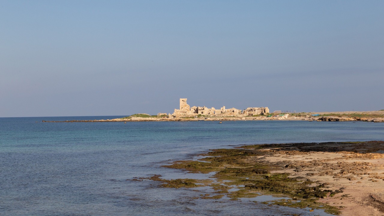 Photo of Others in Trapani City Centre