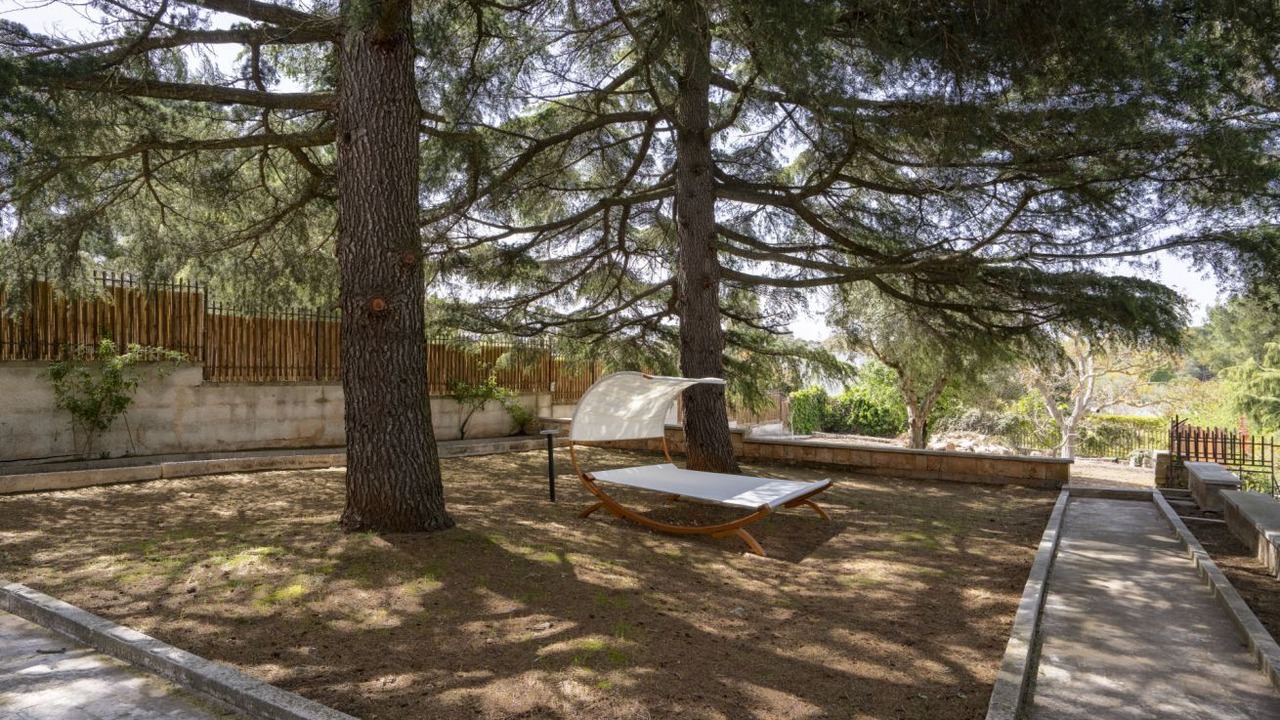 Photo of Outdoor in Selva di Fasano