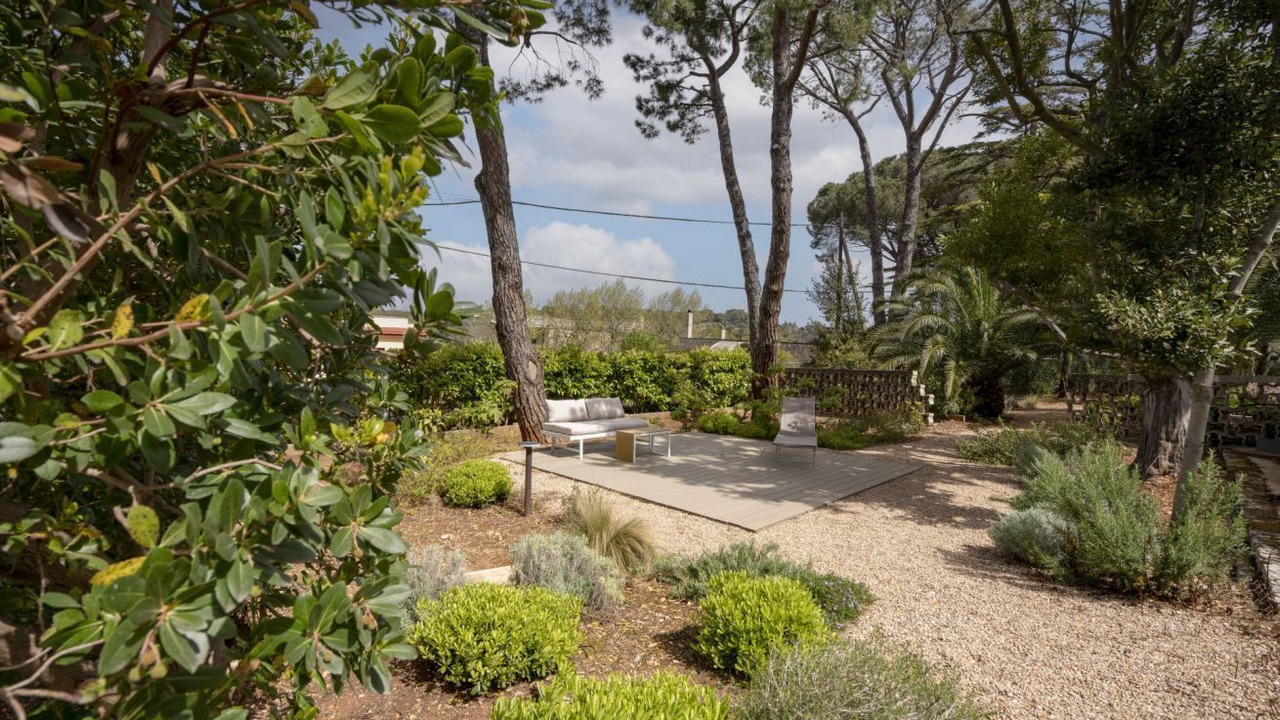 Photo of Outdoor in Selva di Fasano