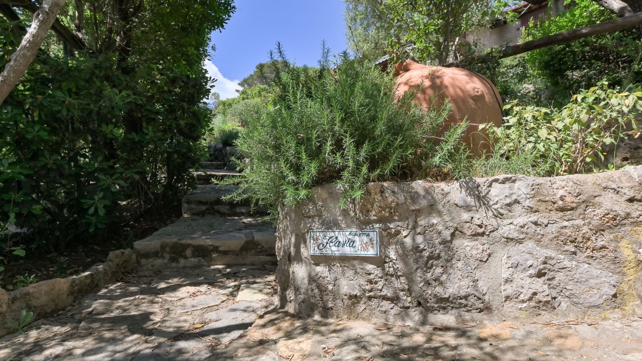 Photo of Others in Ansedonia