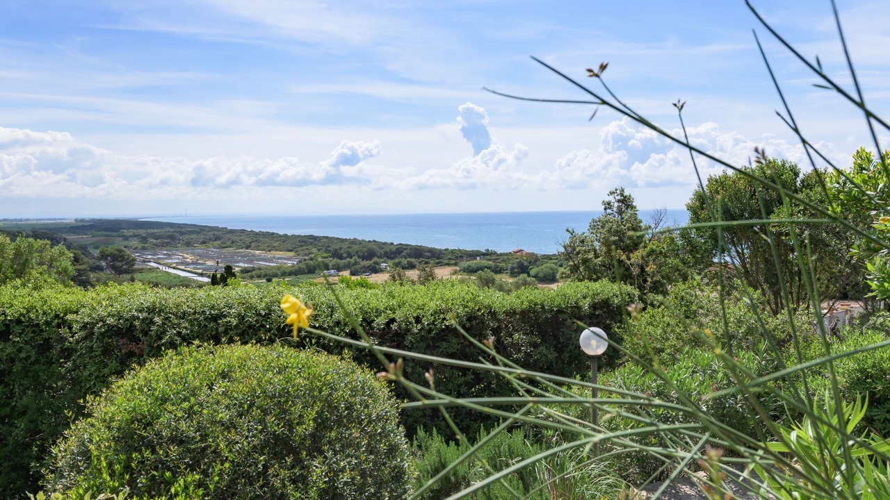 Photo of Others in Ansedonia