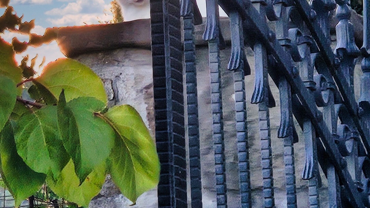 Photo of Outdoor in Pescia