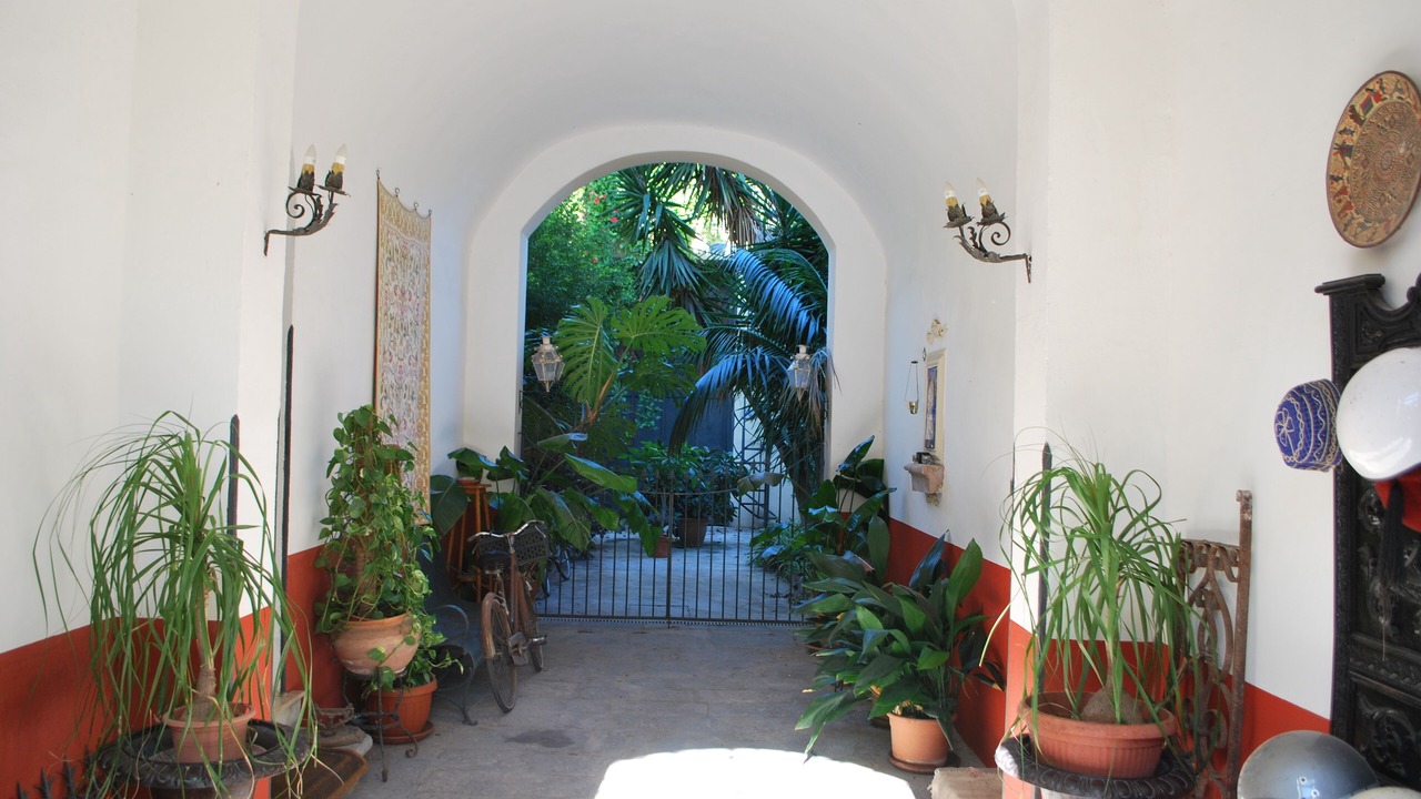 Photo of Others in Palermo