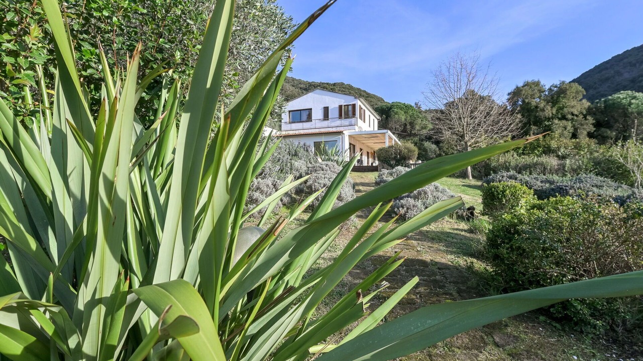 Photo of Outdoor in Scarlino