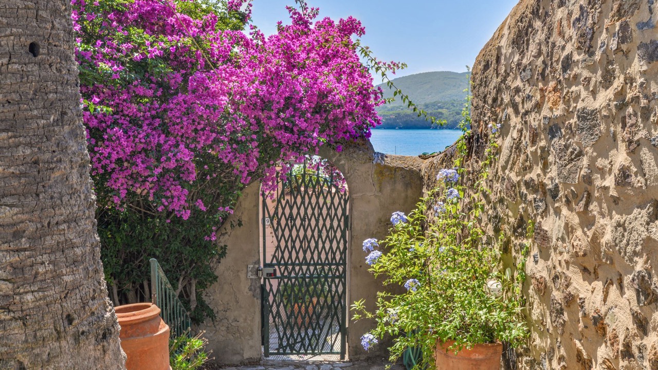 Photo of Outdoor in Porto Azzurro