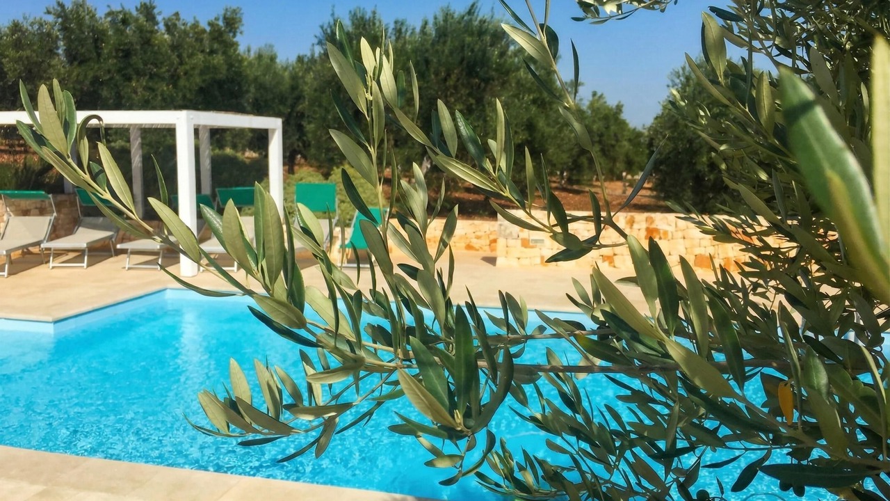 Photo of Outdoor in Cisternino