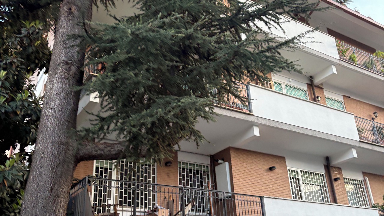 Photo of Outdoor in Quartiere XVII Trieste