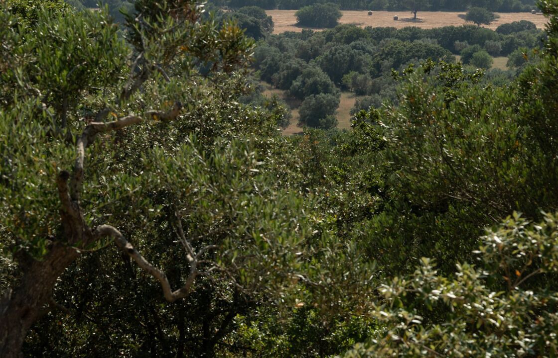 Photo of Outdoor in L'Assunta