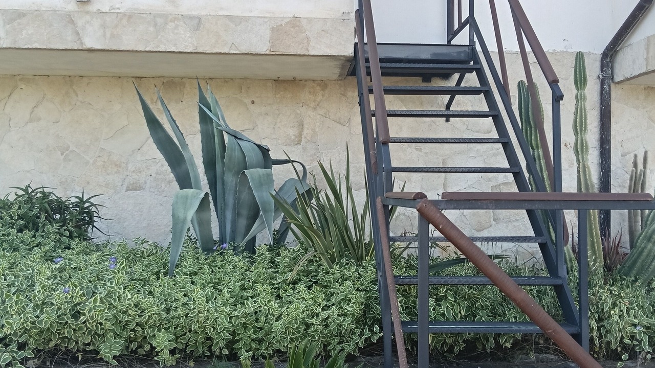 Photo of Outdoor in Pozzilli