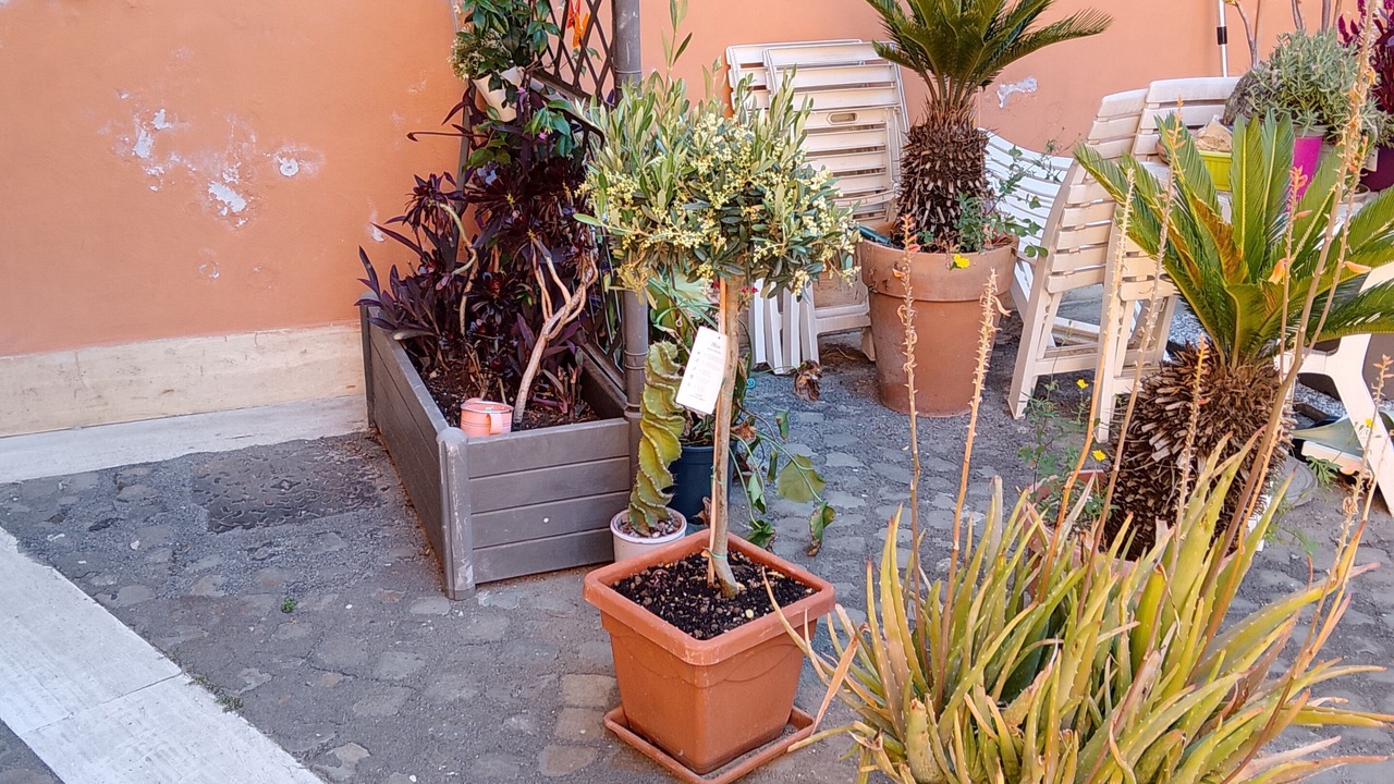 Photo of Outdoor in Marsala